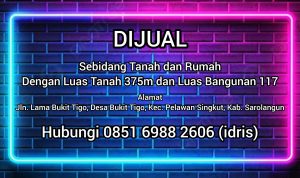 InShot_20251215_131054538